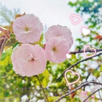 4/16 Hさま お礼? 寝過ごしてないかな？