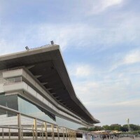 たくさん書きたいことあるけど