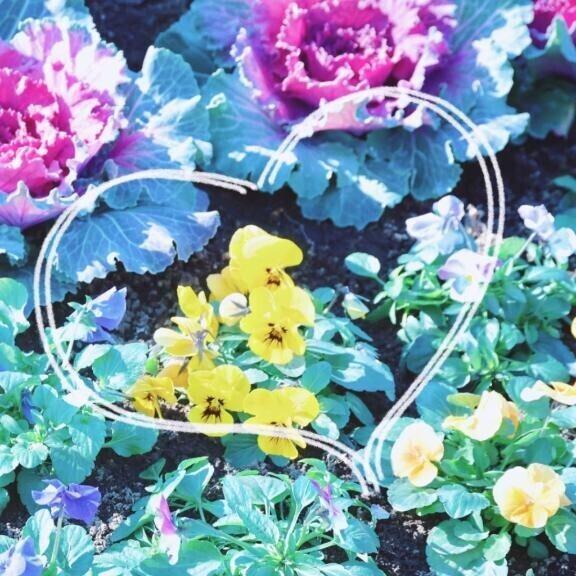 4/22 Ｔさま お礼?  しっかり満喫できたかな？