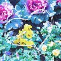 4/22 Ｔさま お礼?  しっかり満喫できたかな？