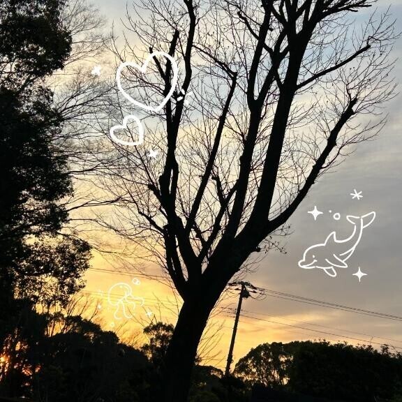 4/22 Ｓさま お礼? すごく気持ちよかった?