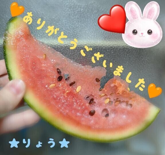 次回、28日20時～?