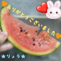 次回、28日20時～?