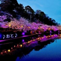 この日記に共感して下さる方がいらっしゃったら、すごく嬉しいな！