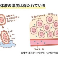 華金で飲んだ男性方は今日はマッサージの日★