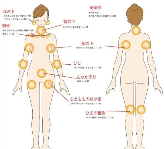 マッサージの「血止め」????