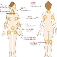 りょう