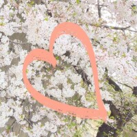 5/26 Mさま お礼? 次は鳴き声聞きたいな?