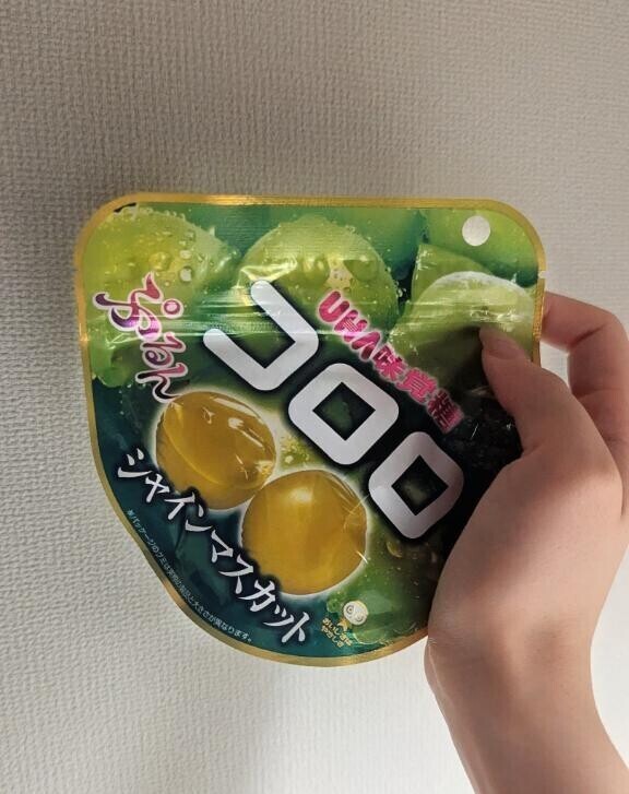 昨日のお礼&今日もいます！