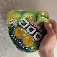 昨日のお礼&今日もいます！
