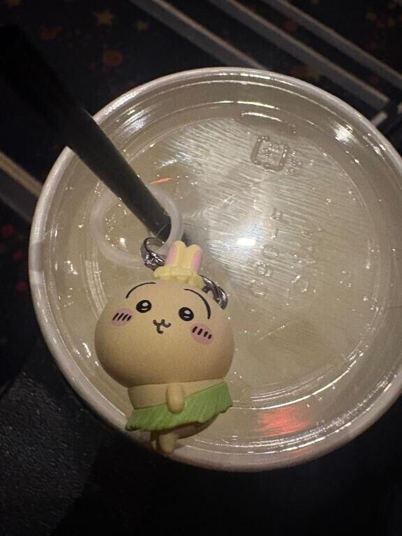 封印していたオタ活