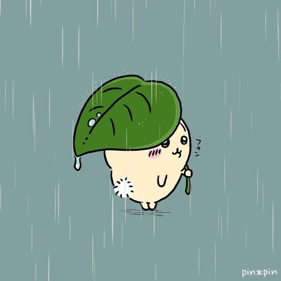 雨ですが