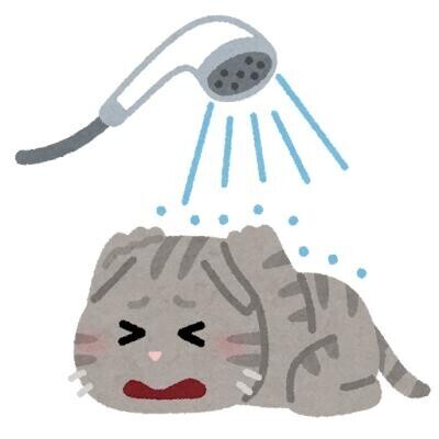またあしたも?
