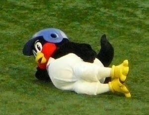 暖かくなってきたわね??