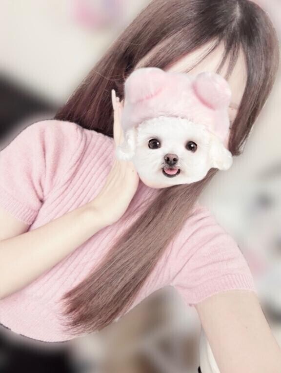 (｡･･)ﾉぉはょぅ♪