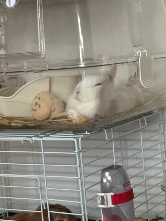 涼しい