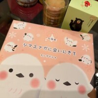 せな