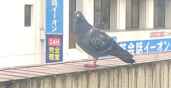 21時まで?