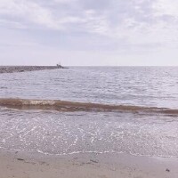 ひな