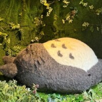 ひなた