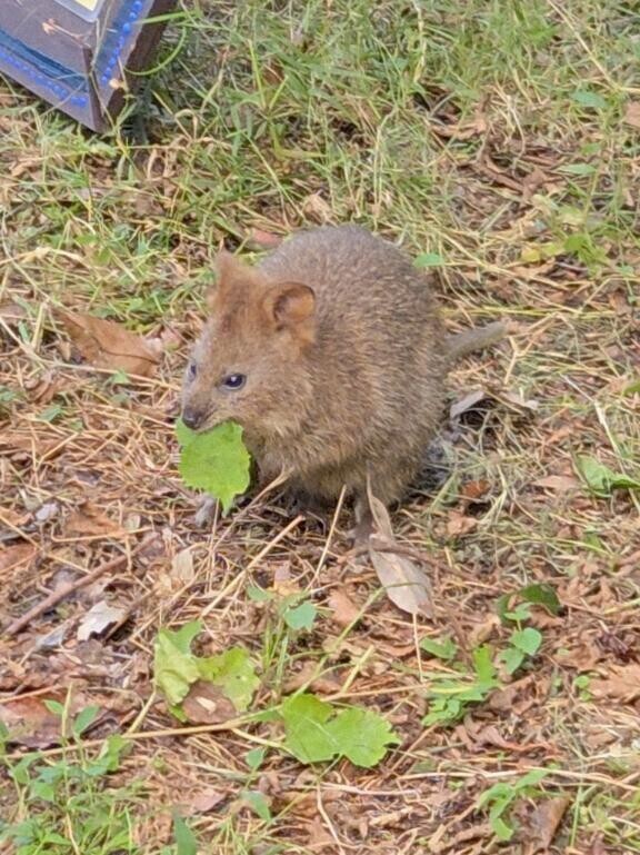 明日出勤します?
