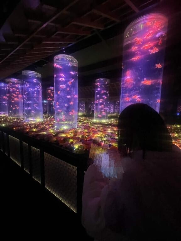 お久しぶりですт т