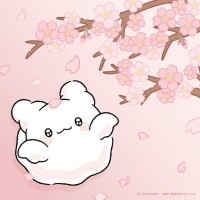 ふうか