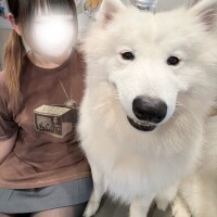急遽‼️