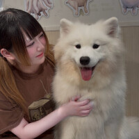 出勤‼️