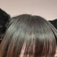 ねこ🐈‍⬛⸒⸒⸒⸒