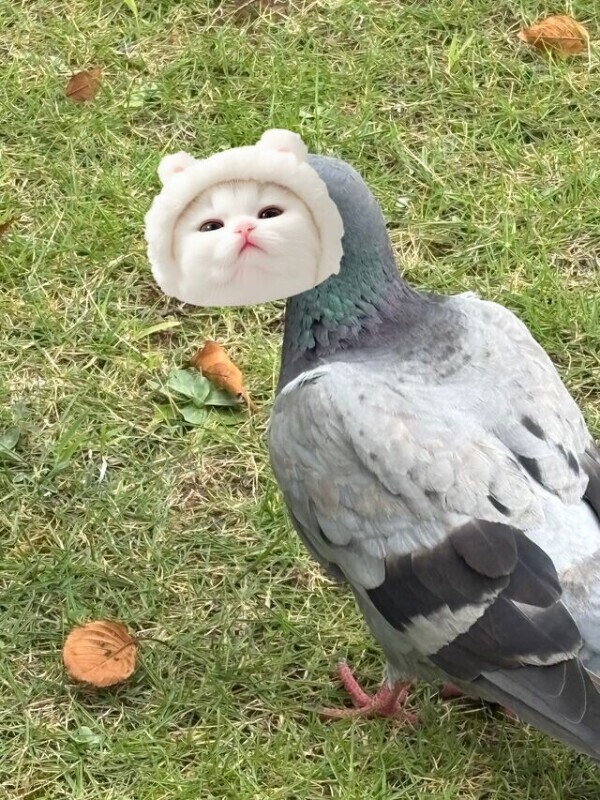 ありがと