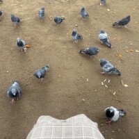 懐かしい