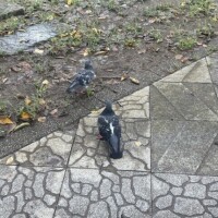 おはよ