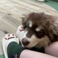 たくさん甘えてね