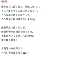 もなちゃん