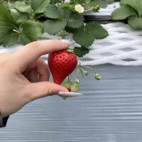 今日もありがと〜＆明日がラスト出勤だよ！