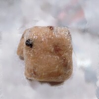 おっはん❣️