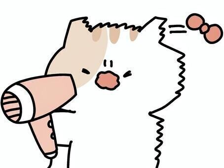 ねっこ好き！