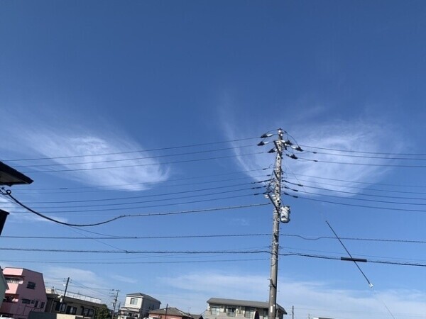 朝だよ❕