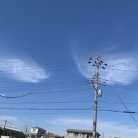 しおんちゃん