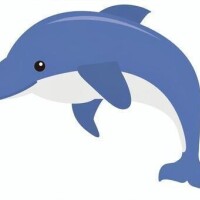 楽しかった