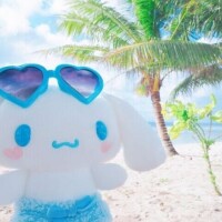 お礼💕