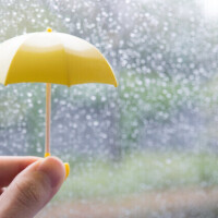 雨