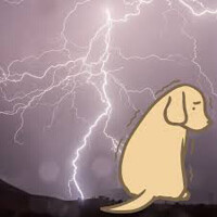なぎさちゃん