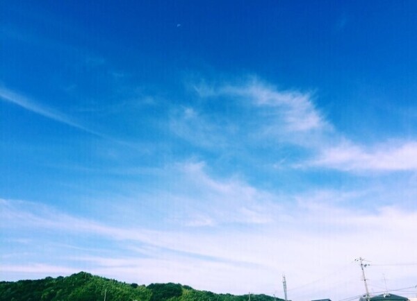 晴天の日は気分も上々