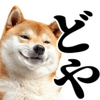 柴犬かわよ