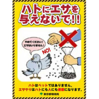 くるっくー