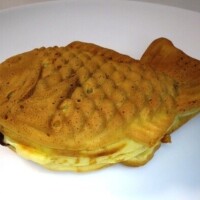 こんな季節になりました