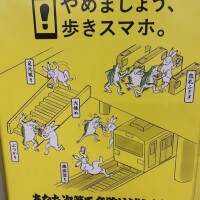 このセンス好きぃあひぃん