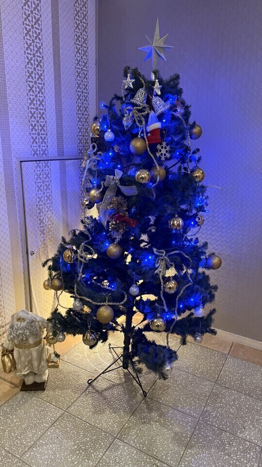 性なる夜に、、💖